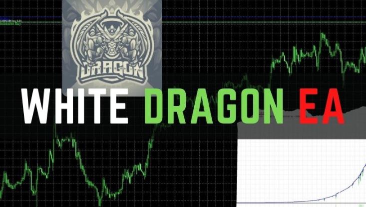 Download White Dragon EA for FREE best forex auto trading ea download